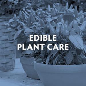 EdiblePlants.jpg
