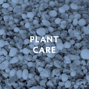 PLant_Care_3.jpg
