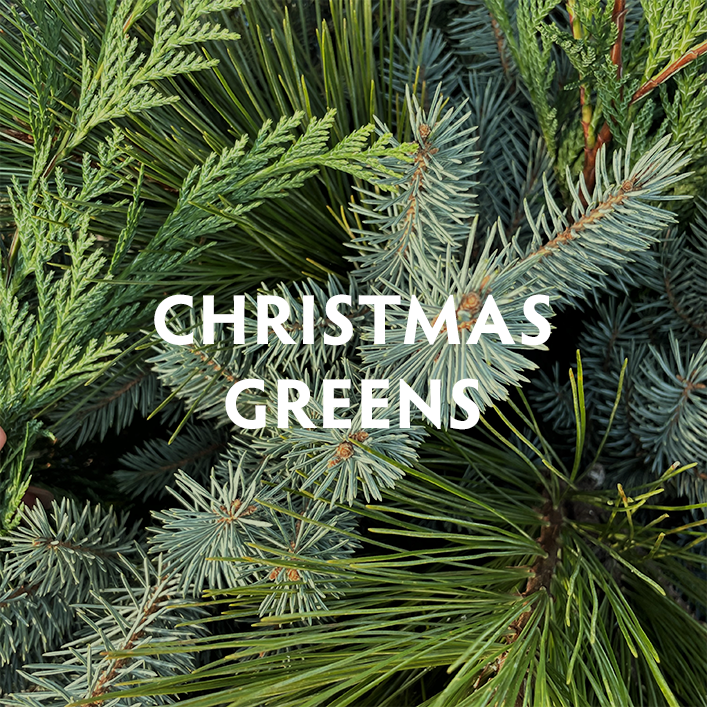 Christmas Greens