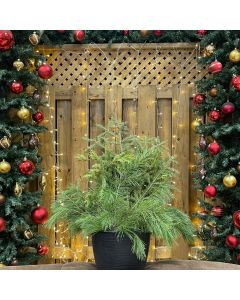 12" Round Plain Urn Insert