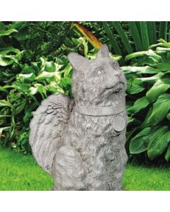 Angelic Cat