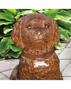 Rusty the Dog
