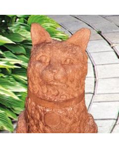 Fluffy the Cat
