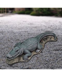 Alligator Piped