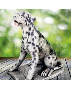 Dalmatian