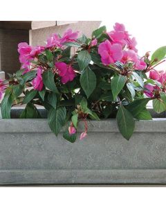 20" Ravelli Planter