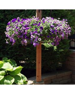 Decorative Post Holder