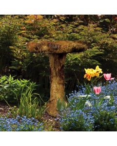 Woodland Bird Bath