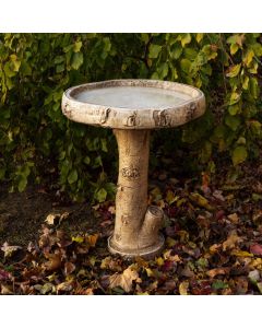 Birch Bird Bath