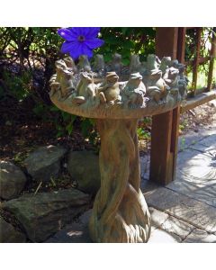 Ring of Frogs Bird Bath