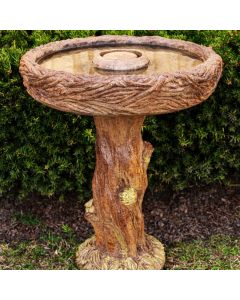 Birds Nest Bird Bath