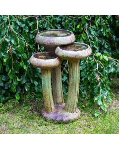 Water Lilies Bird Bath