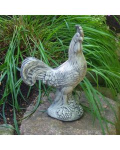 Rooster Provence