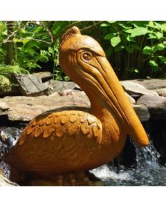 Pelican