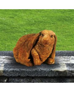 Lifted Paw Lop-Eared Rabbit