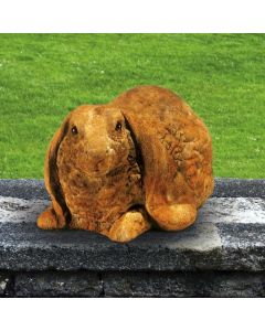 Large Lop-Eared Rabbit