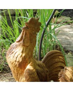 Rooster