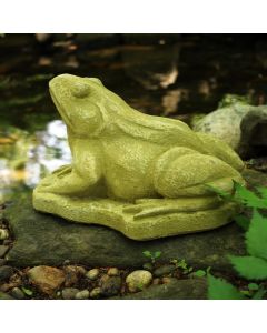Medium Frog