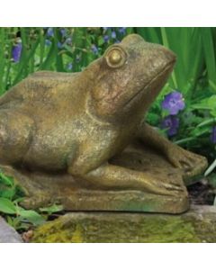 Large Frog