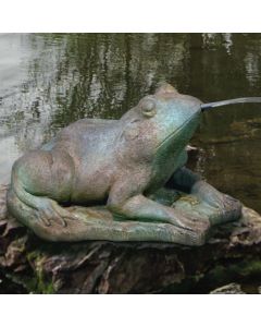 Large Frog Piped