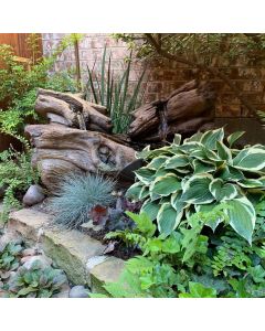 Fallen Logs Fountain