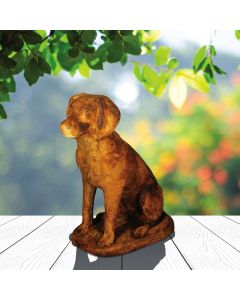 Labrador