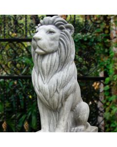 Noble Lion