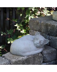 Laying Cat