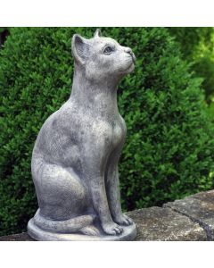 Sitting Cat