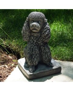 Poodle