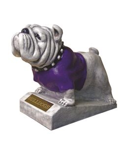 English Bulldog