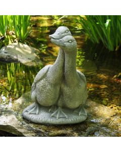 Goose, Gander