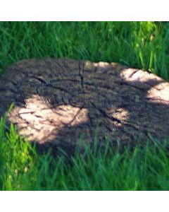 Woodland Stool Top