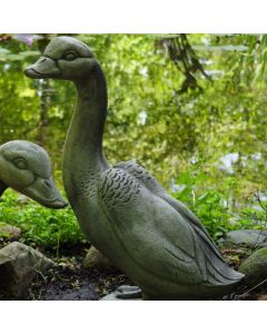 Goose