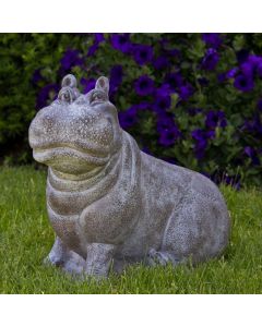 Henri the Hippo