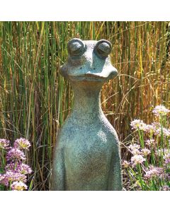 Zen Frog
