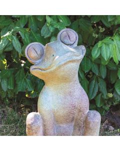 Googly-eyed Frog