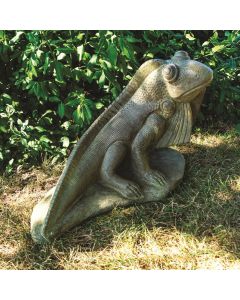 Sun-Kissed Iguana