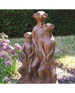 Meercats - Tres Amigos
