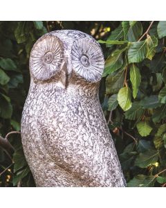 Abstract Owl