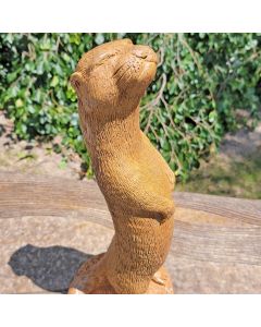 Otter with Attitude