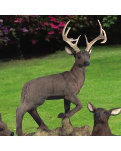 Standing Buck