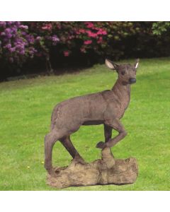 Standing Doe
