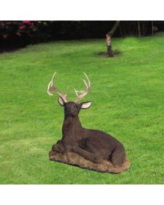 Reclining Buck