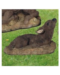 Reclining Fawn Looking Up