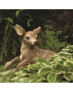 Fawn Raising on One Leg