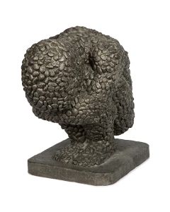 Stone Man