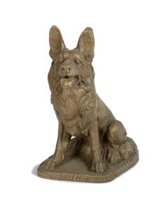 Small German Shepherd