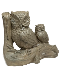 Two Owls on Branch