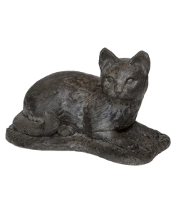 Cat - Laying N